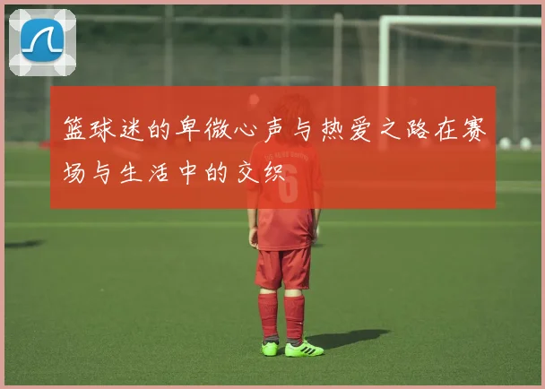 篮球迷的卑微心声与热爱之路在赛场与生活中的交织