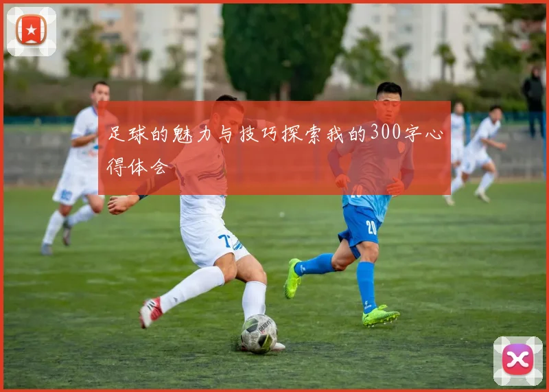 足球的魅力与技巧探索我的300字心得体会